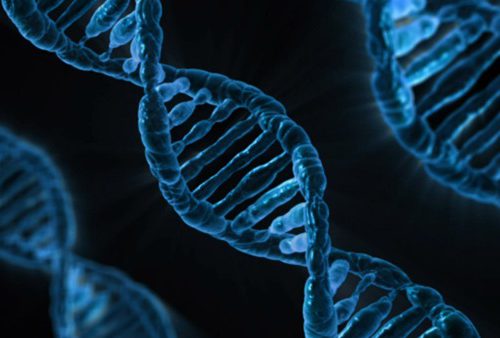 Nên xét nghiệm ADN ở đâu để có kết quả chính xác nhất?
