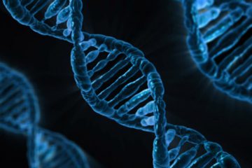 Nên xét nghiệm ADN ở đâu để có kết quả chính xác nhất?