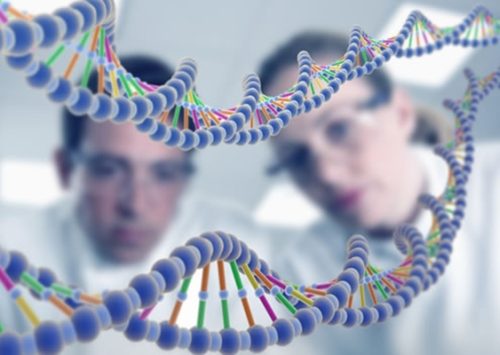 Giám định ADN nhân từ các mẫu sinh học