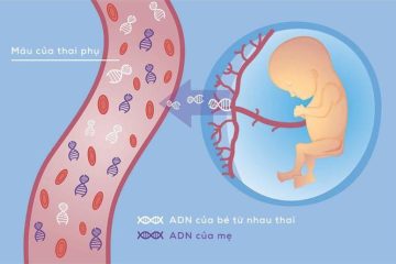 Có thể xét nghiệm ADN huyết thống trước sinh?